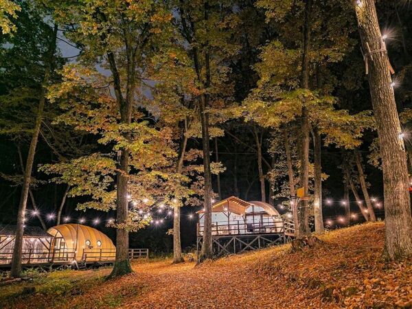 熊風評被害で600人超キャンセルが発生した長野県のグランピング施設が熊対策強化キャンペーンを開始！