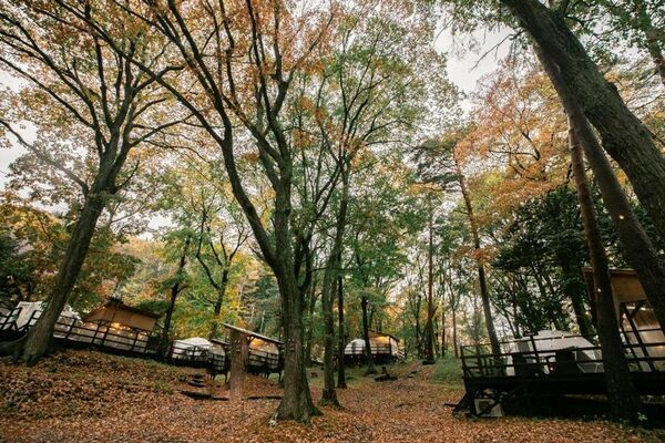 熊風評被害で600人超キャンセルが発生した長野県のグランピング施設が熊対策強化キャンペーンを開始！