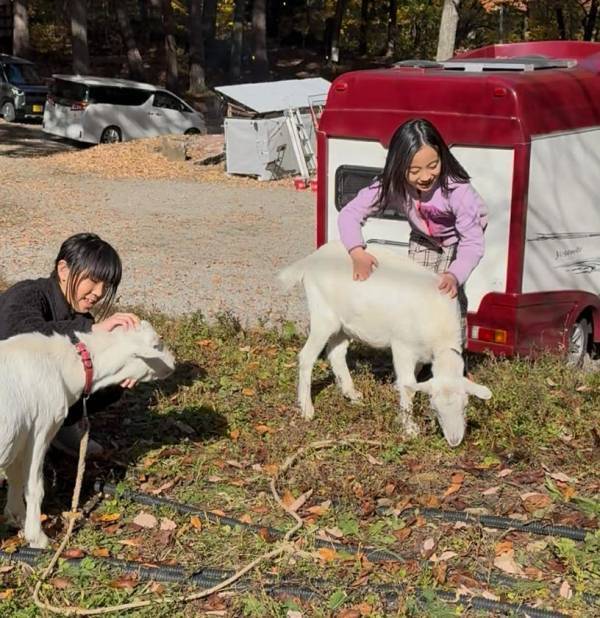 熊風評被害で600人超キャンセルが発生した長野県のグランピング施設が熊対策強化キャンペーンを開始！