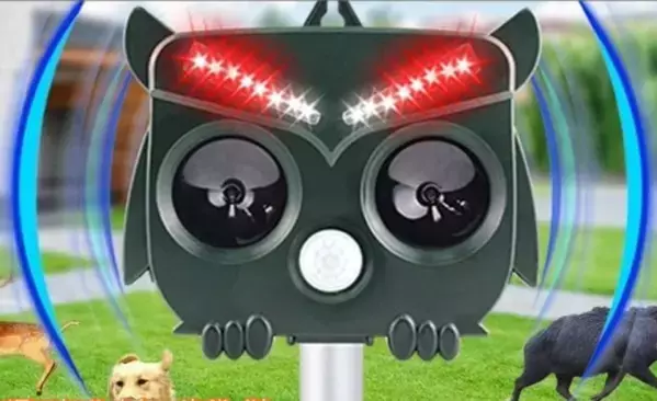 熊風評被害で600人超キャンセルが発生した長野県のグランピング施設が熊対策強化キャンペーンを開始！