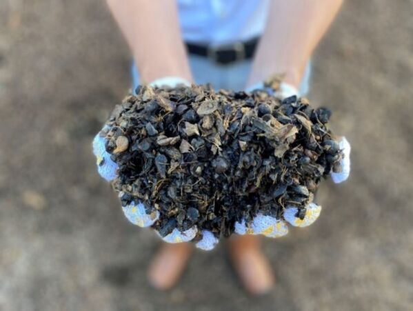 バイオ燃料「Bio-M-Coke(R)」生産工場の稼働開始