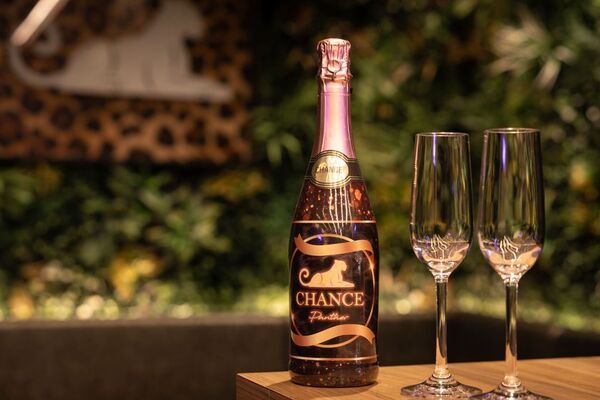 大阪難波の大人気コンセプトカフェ「CHANCE」が待望の2店舗目を心斎橋に12月12日(金)OPEN！