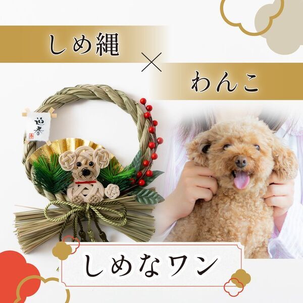 お正月飾りのトレンド調査：「伝統離れ」の20代と、「攻める」50代。世代を超えて共通するトレンドは、伝統よりも『自分らしさ』