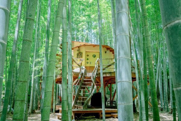 【U25・学割プラン限定】動物園×グランピングのTHE BAMBOO FORESTが特別プラン開始　オールインクルーシブ＋先着でチェキフィルム10枚プレゼント！