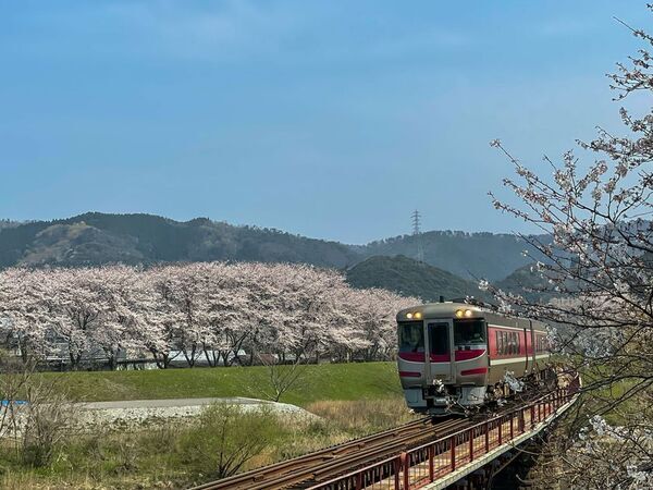 さだ助別邸ICHIJO 春のご予約受付開始のお知らせ(2026年4月1日～5月31日分)