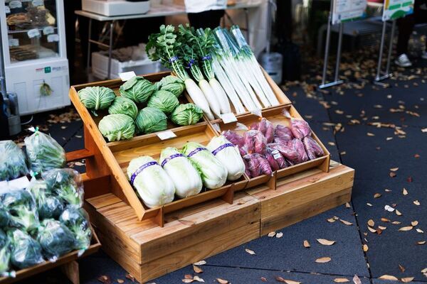 ＜TOKYO周穫祭2025開催レポート＞今年は2日間で、過去最多となる約5万3千人が来場！「東京の魅力を知るきっかけになった」という声も！
