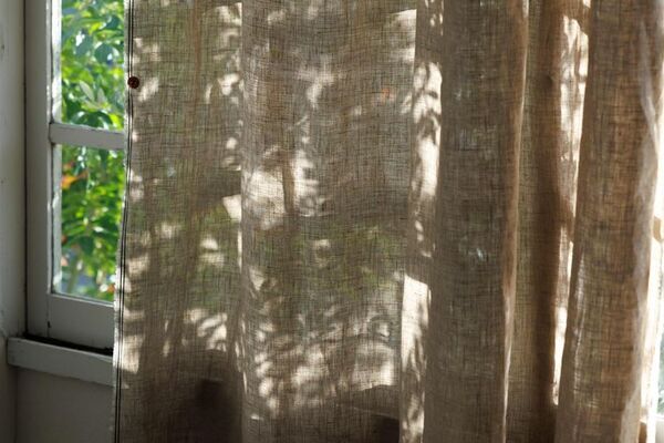 二度と出会えない最後の3000mを解禁　数千年の黒土が育んだ伝説の黒大麻カーテン「ブラックソイルヘンプ」が12/19～限定公開