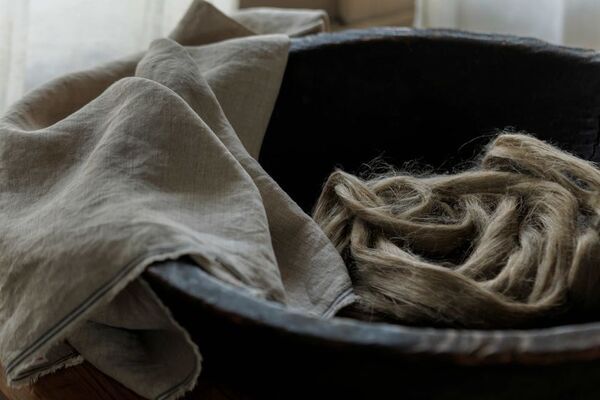 二度と出会えない最後の3000mを解禁　数千年の黒土が育んだ伝説の黒大麻カーテン「ブラックソイルヘンプ」が12/19～限定公開