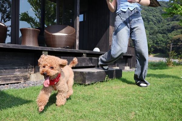 愛犬と旅する電動バイク「Doggie」来春発売モデルを三重・VISONで先行レンタル