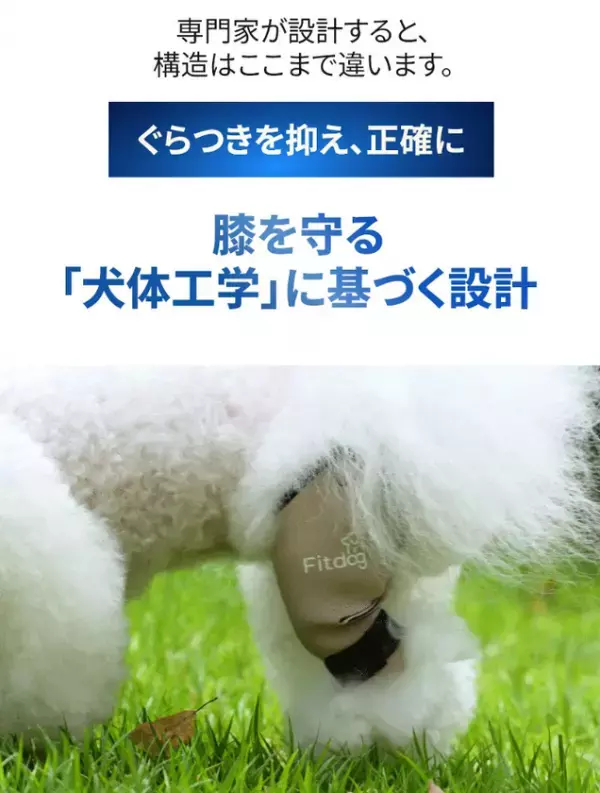 愛犬の膝を守る「犬体工学」設計のサポーター『Fitdog』が日本上陸！本日より楽天市場にて公式販売を開始