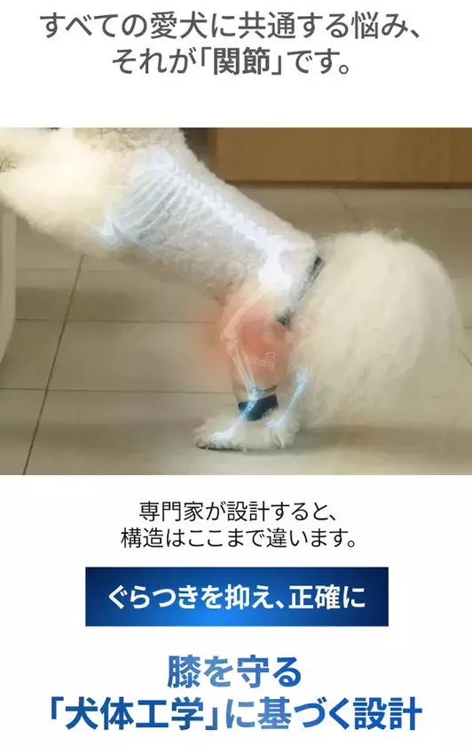 愛犬の膝を守る「犬体工学」設計のサポーター『Fitdog』が日本上陸！本日より楽天市場にて公式販売を開始