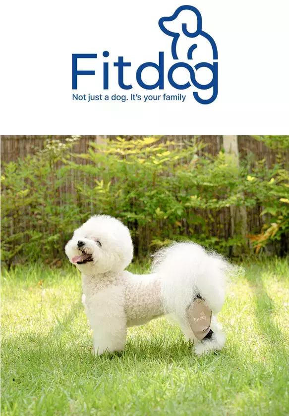 愛犬の膝を守る「犬体工学」設計のサポーター『Fitdog』が日本上陸！本日より楽天市場にて公式販売を開始