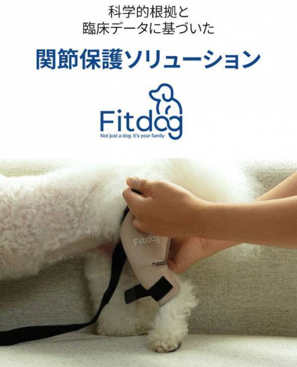 愛犬の膝を守る「犬体工学」設計のサポーター『Fitdog』が日本上陸！本日より楽天市場にて公式販売を開始