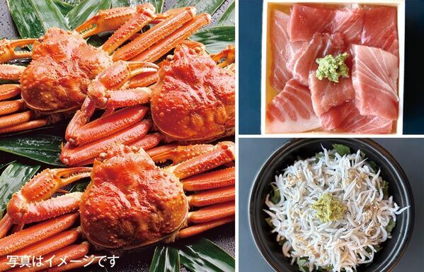 ＜道の駅そらっと牧之原＞2025年12月27日～2026年1月4日、9日間の限定開催！2026年を元気に迎えよう！【心ひとつに迎える大新春祭-そらっと牧之原、初めての正月-】