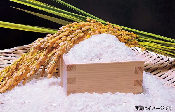 ＜道の駅そらっと牧之原＞2025年12月27日～2026年1月4日、9日間の限定開催！2026年を元気に迎えよう！【心ひとつに迎える大新春祭-そらっと牧之原、初めての正月-】