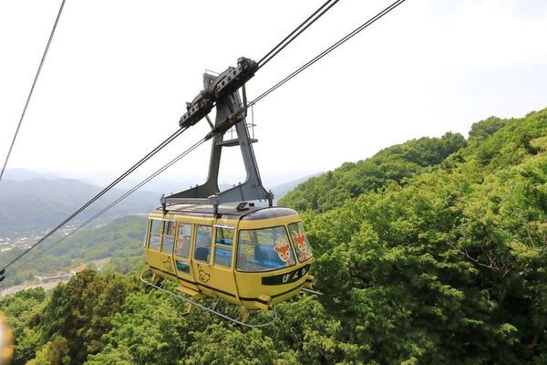 【埼玉県長瀞町】宝登山山頂レストハウス、大規模リニューアル！「SUSABINOキッチン」2026年1月1日オープン