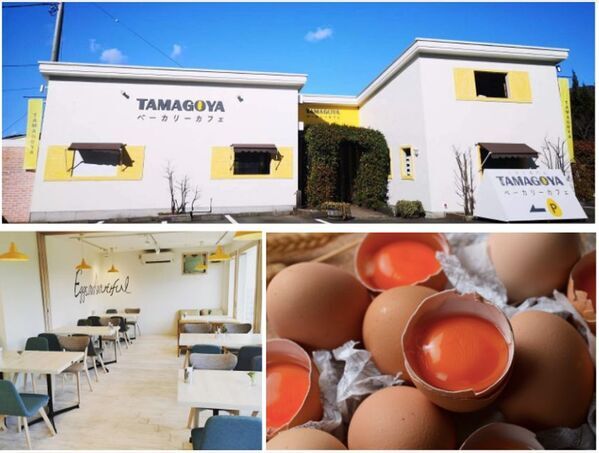 静岡・TAMAGOYAベーカリーカフェ心と体もあたたまるあったかグルメが12/22登場～自然あふれる中でおいしいパンやお食事と共に癒しの時間を～