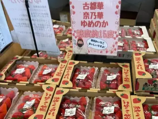 道の駅「レスティ唐古・鍵」古都華の「贅沢いちごパフェ極」を１２月２７日（土）より販売