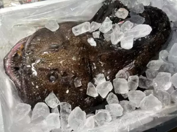 開業から2年半で累計5万人超 “静岡最狂の酒場”「熱海ミニ横丁」が2025年の集大成を公開