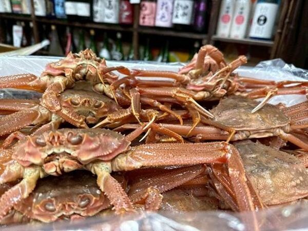 開業から2年半で累計5万人超 “静岡最狂の酒場”「熱海ミニ横丁」が2025年の集大成を公開