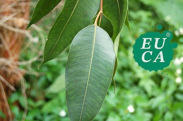 株式会社ユーカ　ヘルスケア事業再開へ最新の美容健康／ライフススタイル・コンテンツも提供して参ります