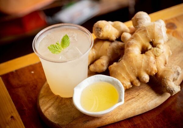 侍(SAMURAI)・戦国武将をテーマにした『戦国武将EXPO2026』1月16日(金)～18日(日)上野恩賜公園(噴水前広場)にて開催！！