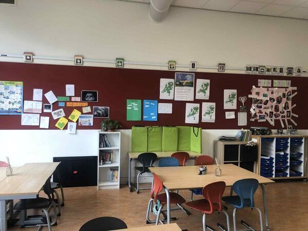 『日本の公教育、教育改革の道筋』～生きづらい社会を乗り越える～　リヒテルズ直子さんオンライン講演会(全2回)1月・2月開催