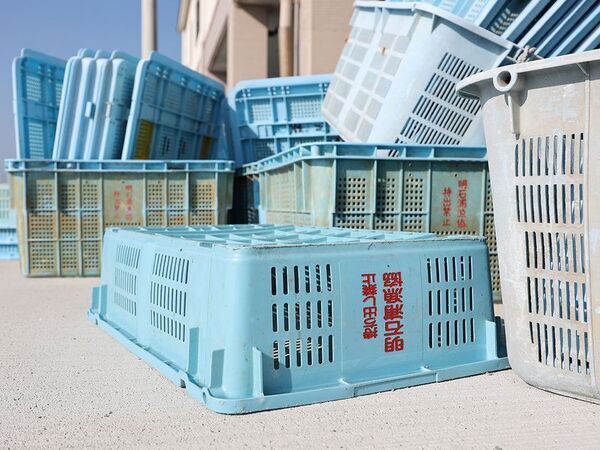 漁業現場の廃プラスチックを再生、地域循環型クーラーボックス開発