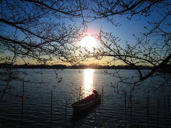 証明書コンビニ交付サービスが「1通10円」に茨城県下妻市が期間限定キャンペーンを実施