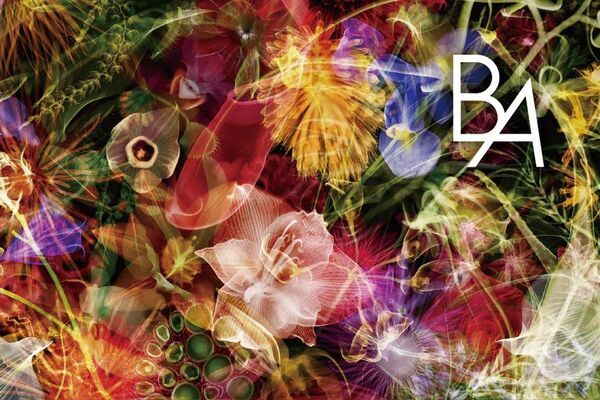 「鈴 京都宮川筋 hitotose 穐 -Aki-」× ポーラ「B.A」導入　京町家の滞在に、ポーラ最高峰スキンケア体験を2026年1月1日より提供開始