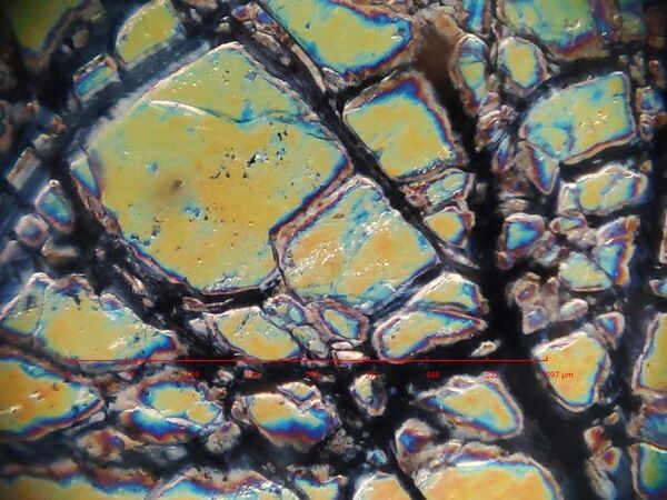 顕微鏡分野に激震！？スマホで光学倍率250倍の「偏光顕微鏡観察」を可能にするレンズ「MH-X250P」1/14よりGREENFUNDINGで先行割引販売を開始