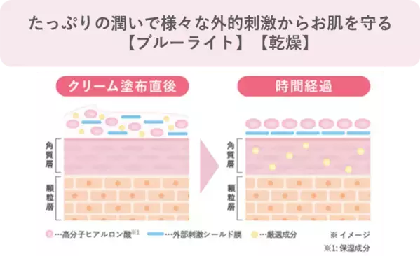 新日本製薬より「肌に咲く、花束のような美しさ。」肌と心に寄り添う新スキンケアブランド　Maison de Bouquet＜メゾンドブーケ＞がデビュー！第1弾商品「プロテクトデイクリーム」2026年2月15日発売開始！