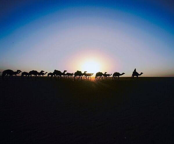 50年にわたり撮り続けた「塩の現場」の作品約80点を紹介　片平孝写真展「塩の旅　～地球の塩の現場に立つ～」たばこと塩の博物館(東京・墨田区)で1月31日(土)から開催