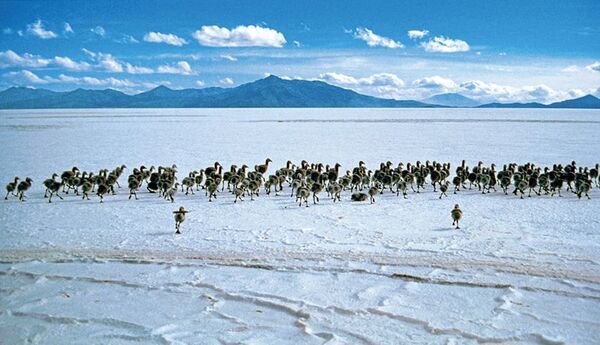 50年にわたり撮り続けた「塩の現場」の作品約80点を紹介　片平孝写真展「塩の旅　～地球の塩の現場に立つ～」たばこと塩の博物館(東京・墨田区)で1月31日(土)から開催