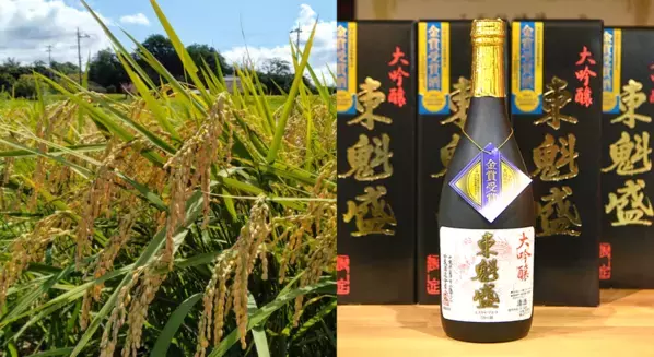 “発酵県ちば”で受け継がれる酒造り今注目すべき酒蔵6選をご紹介！