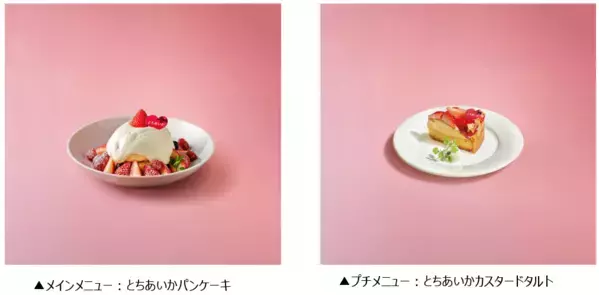 栃木県産いちご“とちあいか”を無料試食！2月11日に東京スカイツリータウン(R)でイベント開催。「Afternoon Tea TEAROOM」含む5つのカフェとコラボ！至福のとちあいかスイーツ期間限定販売