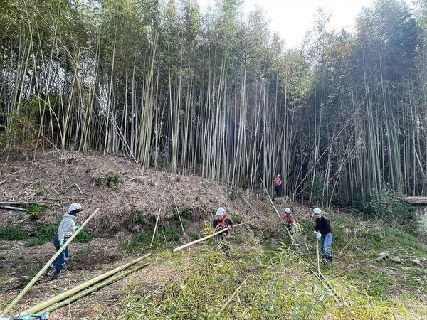【毎月第4土曜日開催】湊川公園手しごと市が淡河バンブープロジェクトと協働、美化活動を開始　地域の手で直す湊川公園の外壁