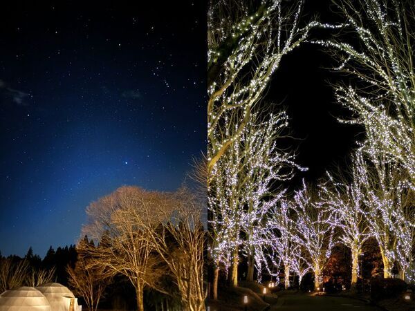 Z世代の学生旅行を全面支援！ブリリアントヴィレッジ日光「最強コスパ・グランピング」予約開始　期間限定 3,000円×10％OFF、いちご狩り＆25％OFFも同時開催