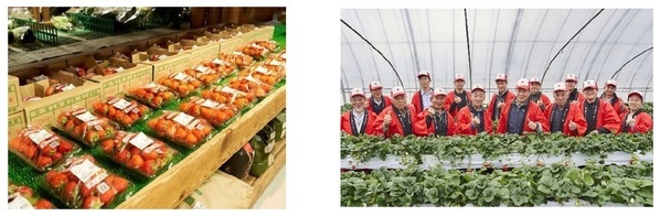 「あすかでいちごキャンペーン」　奈良県明日香村の“いちご”を満喫しよう！