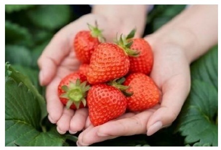 「あすかでいちごキャンペーン」　奈良県明日香村の“いちご”を満喫しよう！