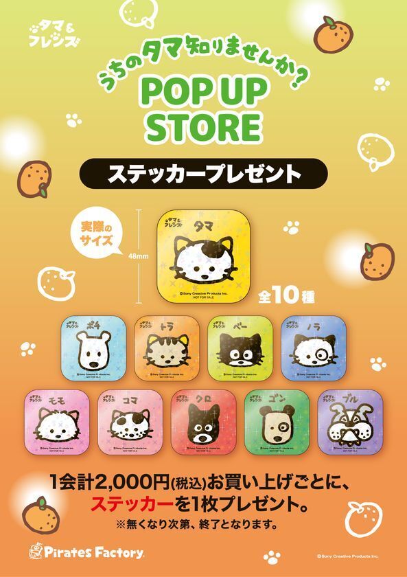 1月29日(木)より期間限定！「タマ＆フレンズ POP UP STORE」が京王百貨店 新宿店で開催！―2月22日(日)猫の日にはグリーティングイベントも！―