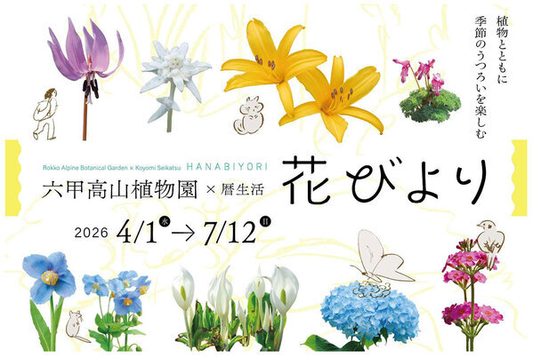 六甲高山植物園×暦生活『花びより』開催決定2026年4月1日(水)～7月12日(日)