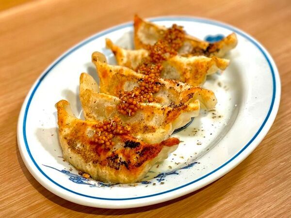 愛・地球博記念公園に全国の人気餃子が集結！『全日本ぎょうざ祭り2026春』前売入場券 2月7日発売