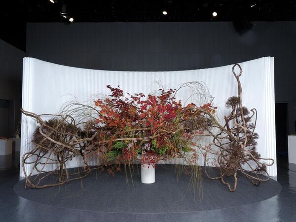 「いけばな龍生展 植物の貌2025」全出展作品を掲載！龍生展特集号『いけ花龍生』2026年2月号、販売中