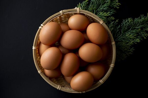 道の駅常総オープン1000日記念イベントを1/21に開催！同時に縁起物「大寒卵」の期間限定イベントも同時開催