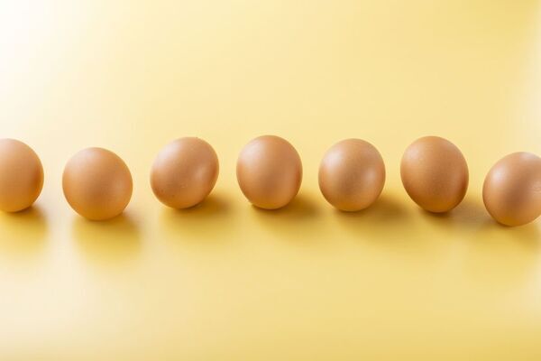 道の駅常総オープン1000日記念イベントを1/21に開催！同時に縁起物「大寒卵」の期間限定イベントも同時開催