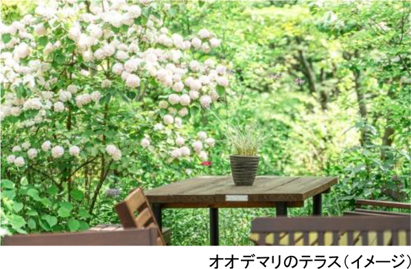 ROKKO森の音ミュージアムフェア「ハーモニー・オブ・ガーデン」六甲山のナチュラルガーデンのフラワーシーズン到来2026年3月14日（土）～8月21日（金）