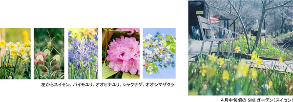 ROKKO森の音ミュージアムフェア「ハーモニー・オブ・ガーデン」六甲山のナチュラルガーデンのフラワーシーズン到来2026年3月14日（土）～8月21日（金）