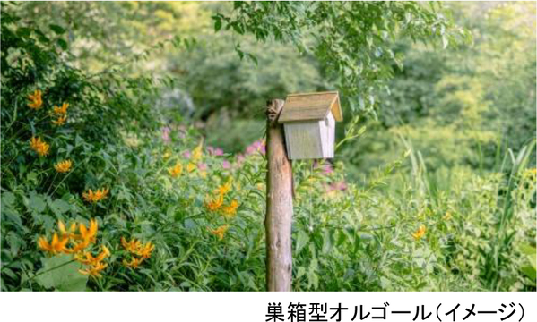 ROKKO森の音ミュージアムフェア「ハーモニー・オブ・ガーデン」六甲山のナチュラルガーデンのフラワーシーズン到来2026年3月14日（土）～8月21日（金）