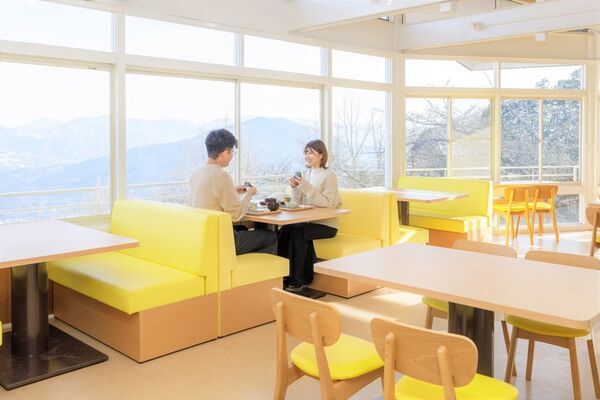 関東屈指のロウバイの名所「長瀞宝登山臘梅園(ながとろほどさんろうばいえん)」まもなく見頃！新スポット＆グルメで心ゆくまで花さんぽ